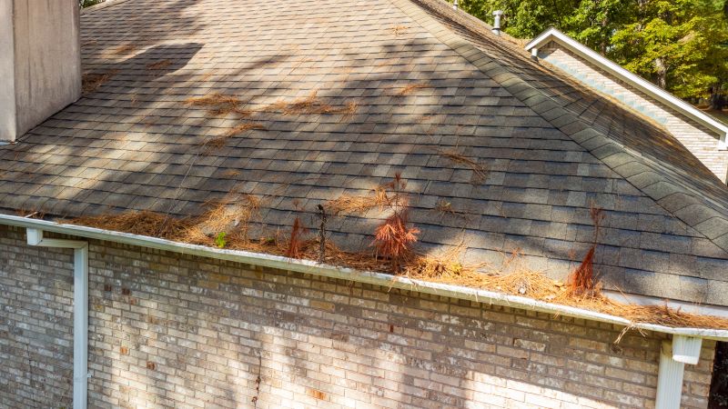 Gutter Pine Needle Removal