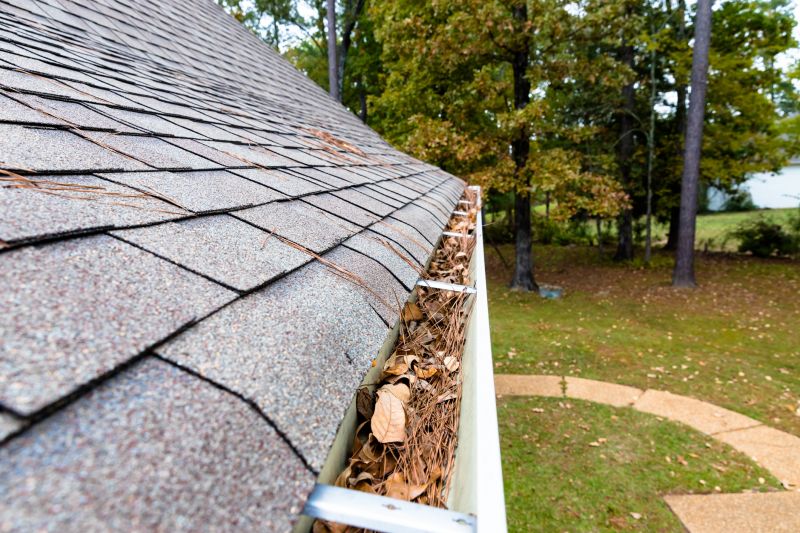 Pine Needle Gutter Cleaning
