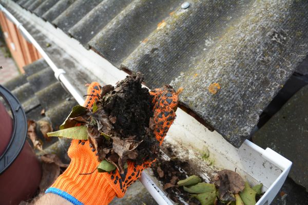 Seamless Gutter Cleaning in Iowa City