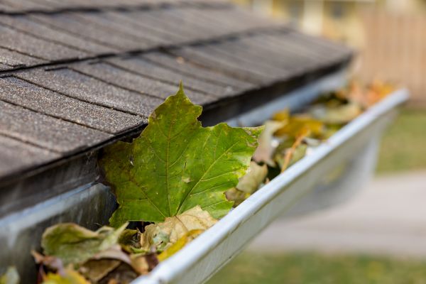 Commercial Downspout Cleaning in Iowa City