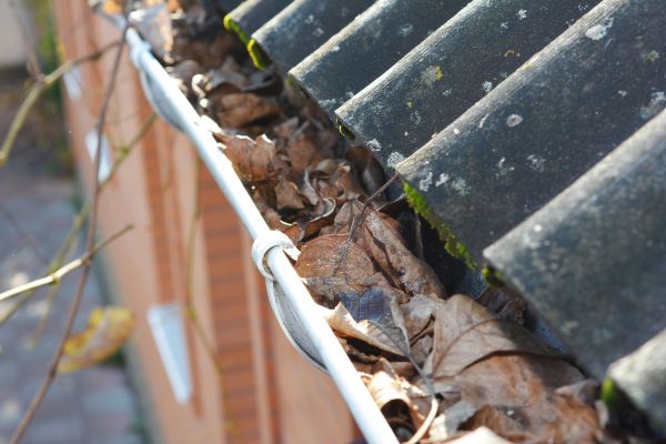 Home Gutter Cleaning in Iowa City