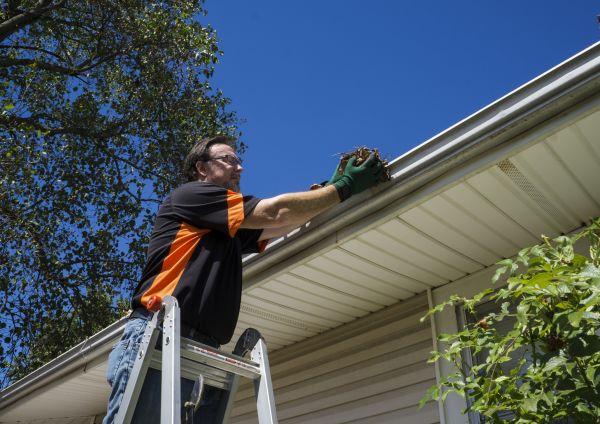 Eavestrough Clearing in Iowa City