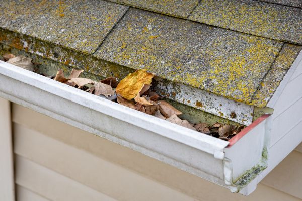 Garage Gutter Cleaning in Iowa City